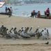 Guerrero, en color anaranjado: reabren playas y zonas turísticas en Acapulco