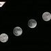 Luna de trueno: mira las imágenes sobre el eclipse penumbral en México