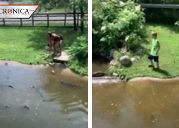 Captan a madre e hijo entrando a corral de cocodrilos ¡por una cartera! (VIDEO)