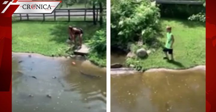 Captan a madre e hijo entrando a corral de cocodrilos ¡por una cartera! (VIDEO)