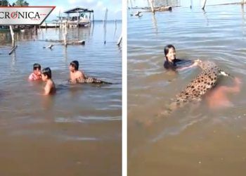 Difunden video de niños nadando con cocodrilo en isla de Borneo