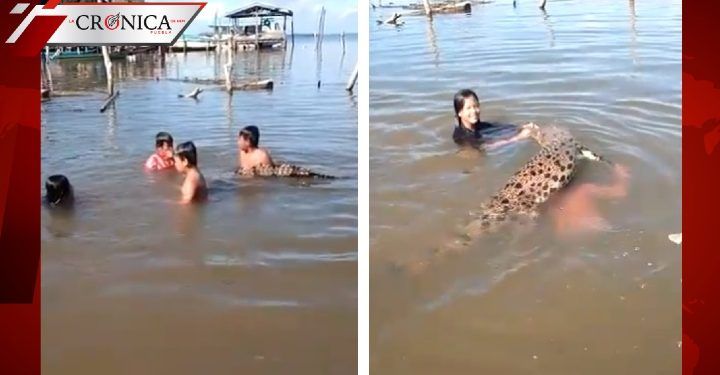 Difunden video de niños nadando con cocodrilo en isla de Borneo