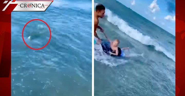 Policía arriesga su vida para salvar a niño de tiburón en mar de Florida