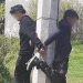 Por el embarazo de una menor se desata riña en la colonia Valle del Sol de Puebla