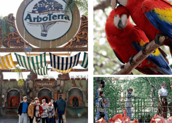 Arboterra se incorpora a la nueva normalidad