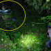 Hombre muere al caer con su vehículo al fondo de una barranca en Puebla