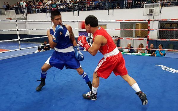 Regidora panista pide agilizar apoyos a boxeadores y luchadores en Puebla capital