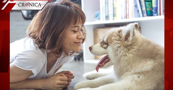 Declaran que Kim Jong-un prohibiría tener perros como mascotas en Corea del Norte