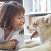 Declaran que Kim Jong-un prohibiría tener perros como mascotas en Corea del Norte