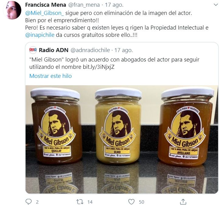 Miel Gibson recibe demanda por usar foto de Mel Gibson