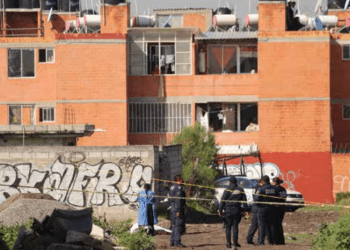 Cada nueve horas, un asesinato en el estado
