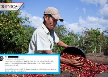 Tunden en redes a Nescafé por campaña de agradecimiento a cafeticultores mexicanos