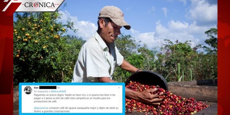 Tunden en redes a Nescafé por campaña de agradecimiento a cafeticultores mexicanos