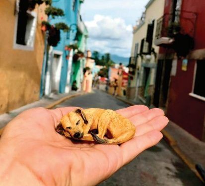 Honrar a los callejeros