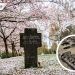 Víctimas de otra pandemia: arqueólogos encuentran fosa del siglo XIX en Japón