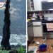 Los estremecedores videos que dejó el sismo de 5.1 en Carolina del Norte