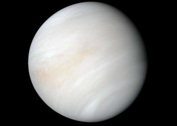 Hallan posibles indicios de vida en Venus