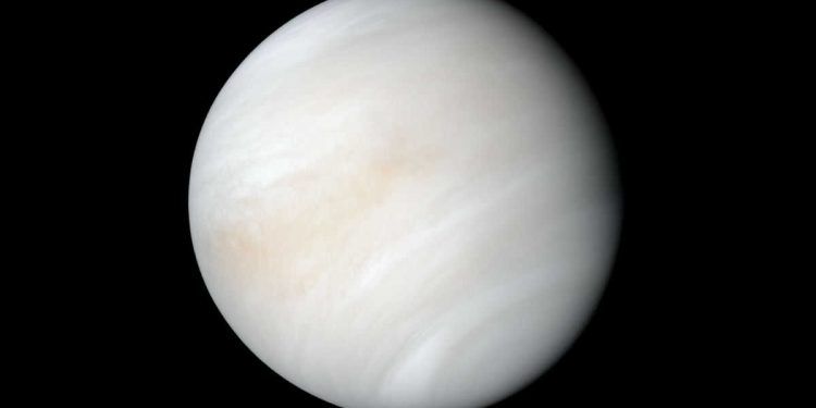 Hallan posibles indicios de vida en Venus