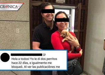 Acusan a pareja de adoptar cachorros para supuestamente alimentar a serpientes