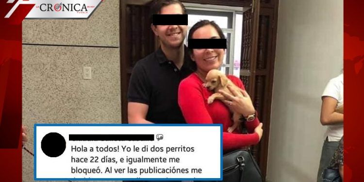 Acusan a pareja de adoptar cachorros para supuestamente alimentar a serpientes