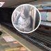 Mujer de CDMX denuncia acoso en vagón del Metro