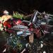 Mujer queda prensada y pierde la vida en accidente en Puebla