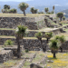 Baja asistencia a monumentos históricos