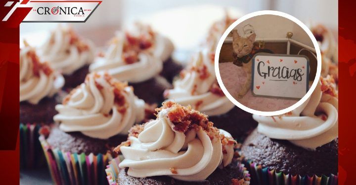¿Quién es el gato que vende cupcakes en CDMX?