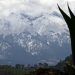 Alpinista muere tras accidente en el Pico de Orizaba; uno más resultó herido