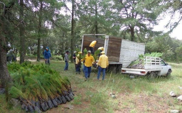 Trasladarán a Puebla al volador de Pahuatlán que cayó de 10 metros de altura