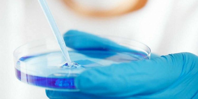 Eli Lilly suspende ensayo de anticuerpos contra COVID; terapia que elogió Trump