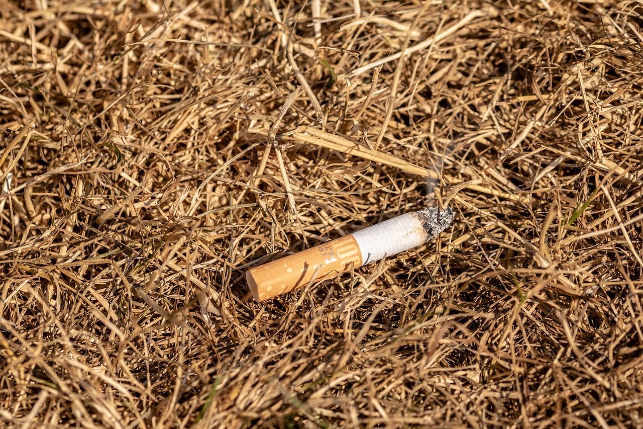 Morena busca acabar con consumo de tabaco en playas