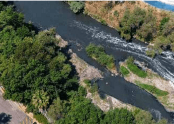 Río Atoyac: ¿ahora sí?