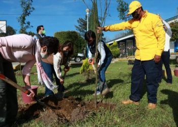 En 23 jornadas, Medio Ambiente Puebla ha plantado 22 mil 637 árboles