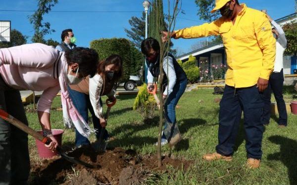 En 23 jornadas, Medio Ambiente Puebla ha plantado 22 mil 637 árboles