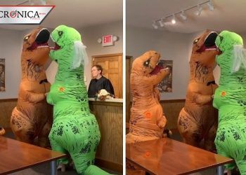 Amor prehistórico: pareja celebra boda con disfraz de dinosaurio en Estados Unidos