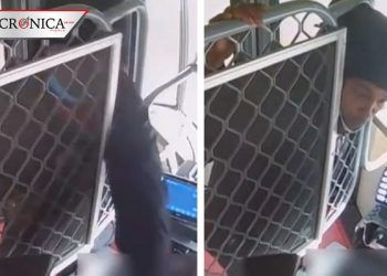 Indigna a redes video de hombre que escupió a chofer de autobús en Australia