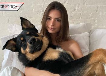 Emily Ratajkowski anuncia su embarazo con video en Instagram