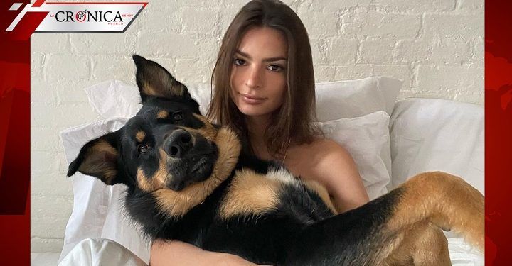Emily Ratajkowski anuncia su embarazo con video en Instagram