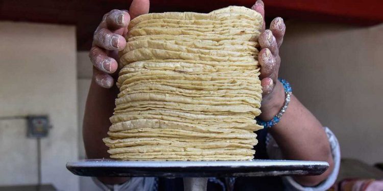 Multas a tortilleros de Puebla si aumentan precios, advierte Cofece