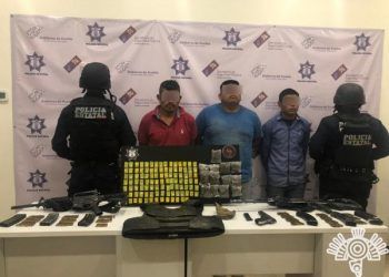 Investigadora de la BUAP desarrolla vacuna contra virus porcino