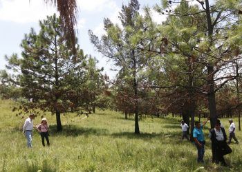 Inicia el rescate y conservación de la reserva cerro Zapotecas