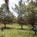 Inicia el rescate y conservación de la reserva cerro Zapotecas