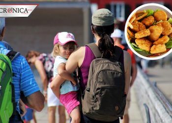 Madre de Estados Unidos demanda a niñera por darles nuggets a niños vegetarianos