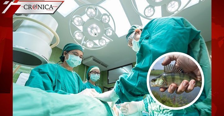Difunden fotos de hombre al que le extrajeron pez por la garganta en Egipto
