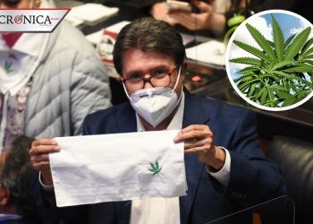 Comisiones del Senado aprueban despenalización sobre uso responsable de mariguana