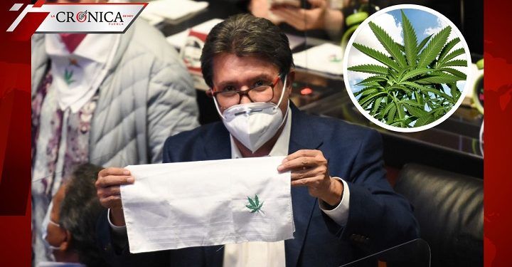 Comisiones del Senado aprueban despenalización sobre uso responsable de mariguana