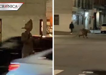 Hombre con disfraz de rata impacta a ciudadanos de Estados Unidos (VIDEO)