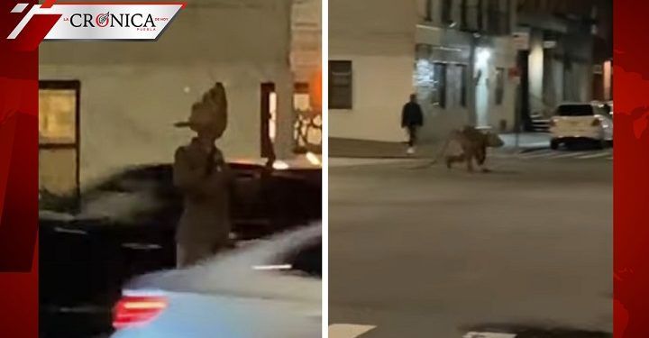 Hombre con disfraz de rata impacta a ciudadanos de Estados Unidos (VIDEO)