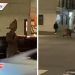Hombre con disfraz de rata impacta a ciudadanos de Estados Unidos (VIDEO)